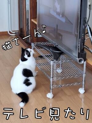珠若927