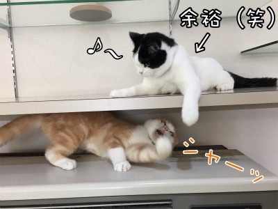 珠若143