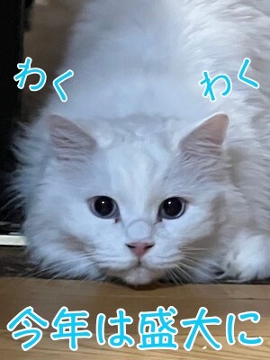 てん25