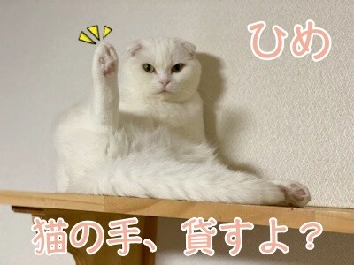 ひめ307