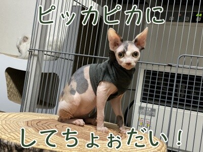 じゅり56