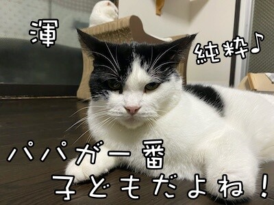 渾289