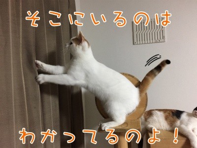 りよ17