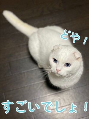 殿112