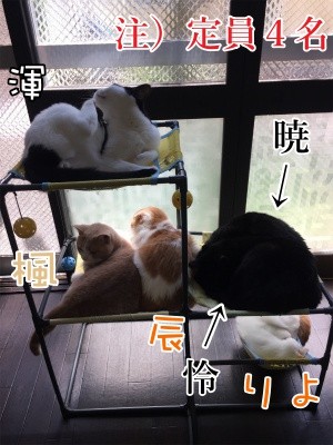みんな927
