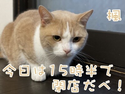 楓666
