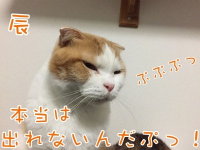 辰186