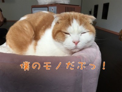 辰6
