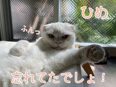 ひめ116