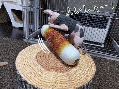 じゅり49