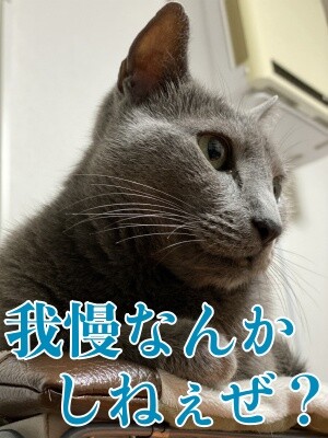 京362