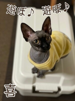 喜68