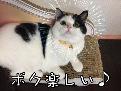 珠若328