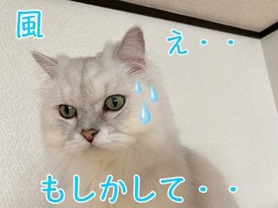 風178