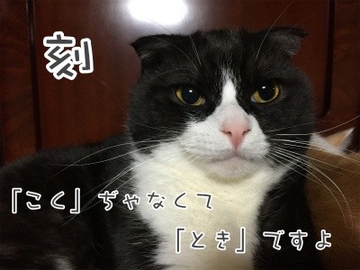 刻4