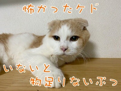 竜8