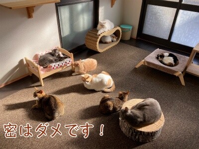 みんな1812