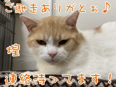 煌164
