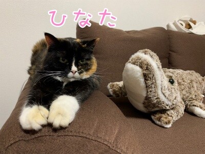 るひあ105