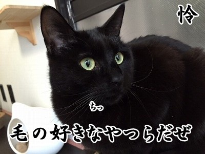 怜 (4)