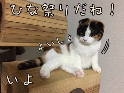 いよ38