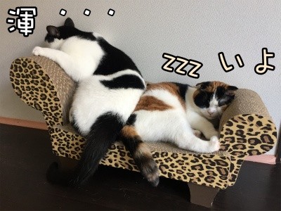みんな1234