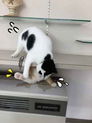 珠若140