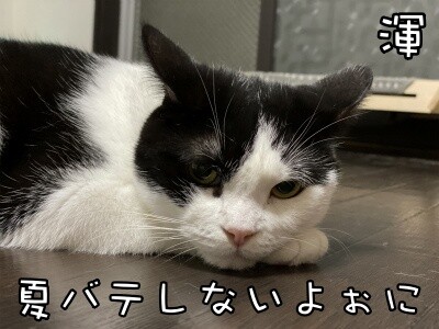 渾146