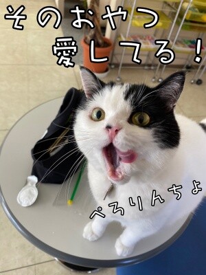 珠若853