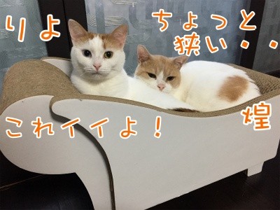 みんな1233