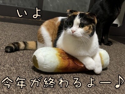 いよ267
