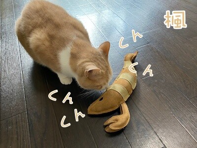楓9