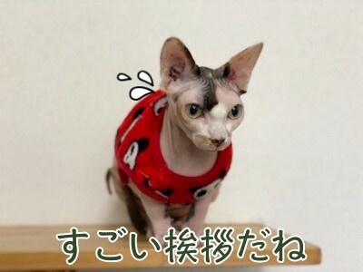 じゅり147