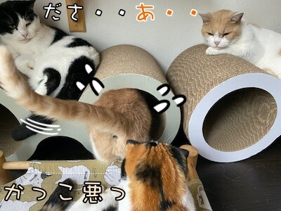 みんな347
