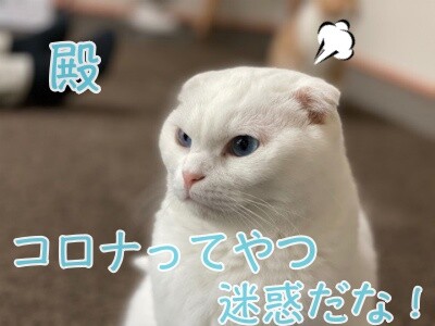 殿792
