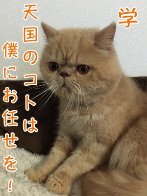 学25