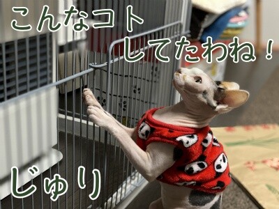 じゅり123