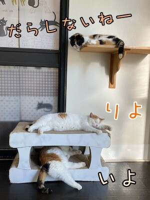 そよ53