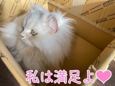 らん2
