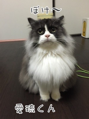 るひあ29
