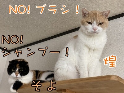 みんな1576