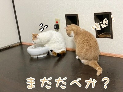 みんな2692