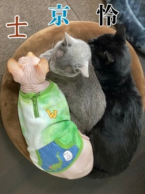 みんな882