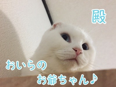 殿89