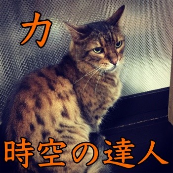 みんな1295