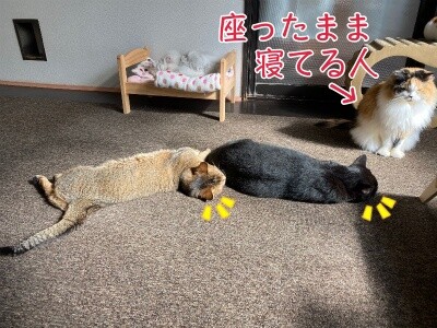 みんな1850