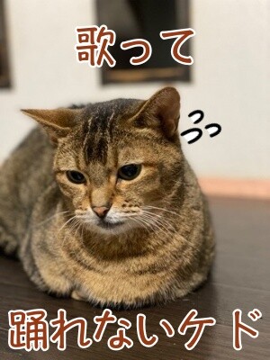 俊444