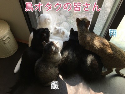 みんな531