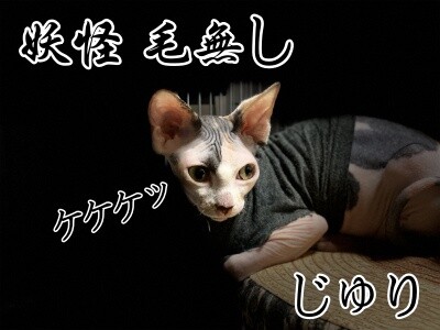 じゅり63