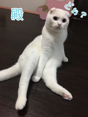 殿187